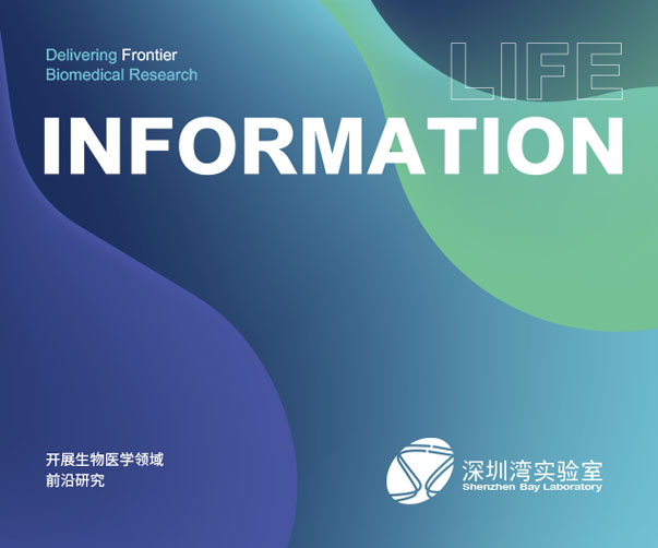 天津Logo設計師工資待遇分析