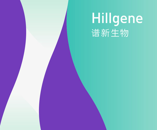 建材品牌Logo設(shè)計(jì)：構(gòu)建品牌與視覺(jué)形象的橋梁